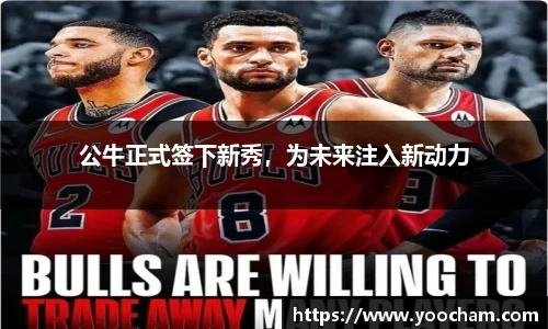 公牛正式签下新秀，为未来注入新动力